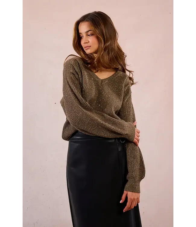 Molly Bracken Sweater w/ Sequins - Khaki