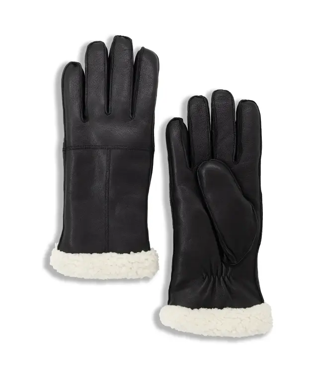 Brume World Colwood Glove - Black