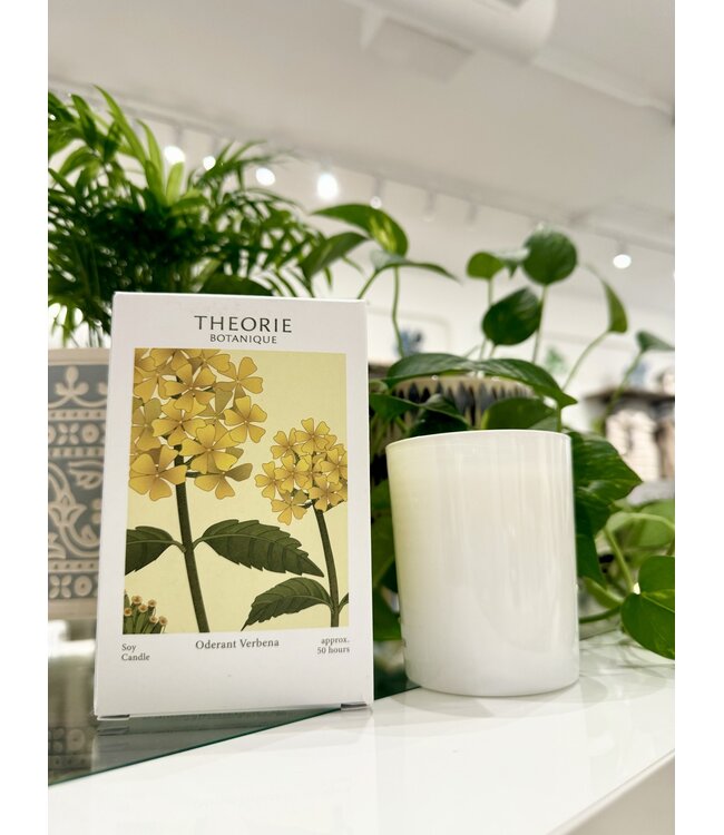 Lucia Oderant Verbena - 50 hr Soy Candle