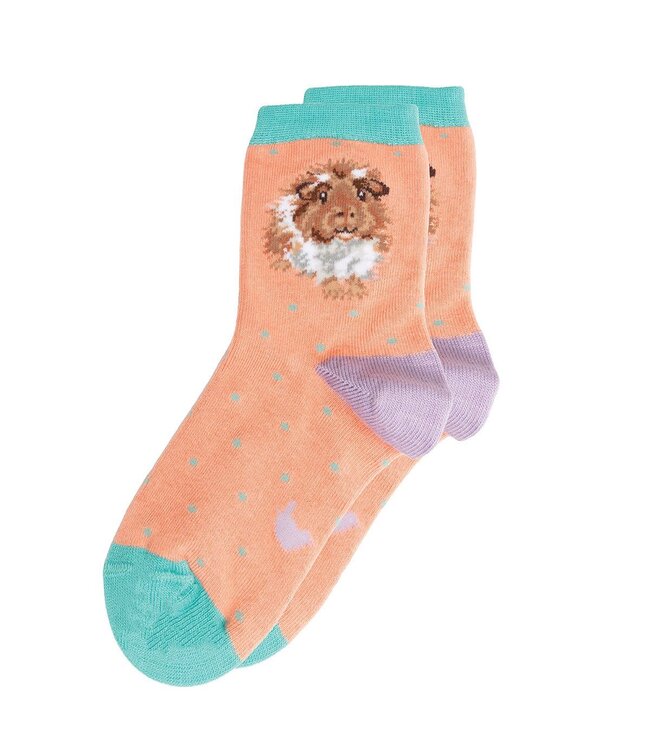 Wrendale Designs Children's Animal Socks - Guinea Pig