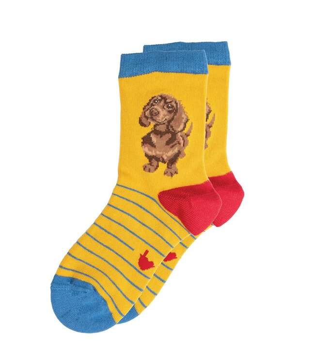 Wrendale Designs Children's Animal Socks - Dachshund