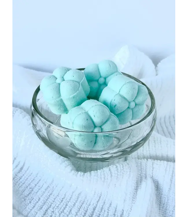 Robin's Nest Soap Company Shower Steamers - Spearmint Eucalyptus