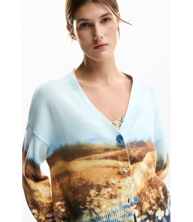Desigual Landscape Cardgian Sweater - Light Blue