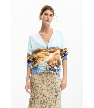 Desigual Landscape Cardgian Sweater - Light Blue