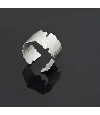 Pursuits Nova Bangle - Satin Silver