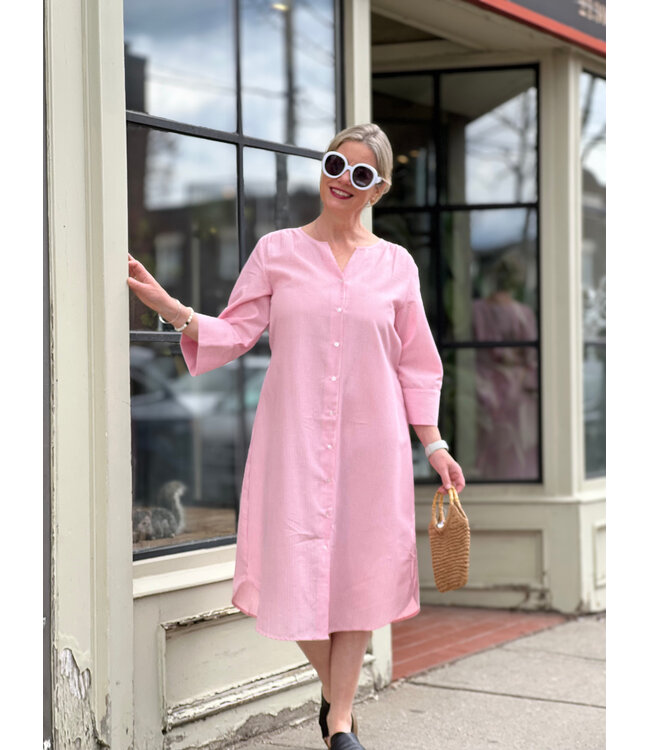 B. Young BYime Shirt Dress - Raspberry Rose Stripe