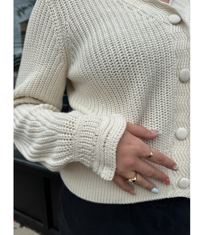 B. Young Bymellax Cardigan - Birch