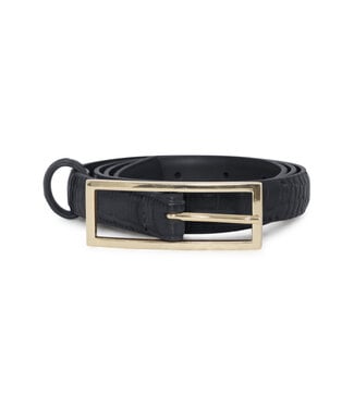 B. Young BYVhyl Belt - Meteorite