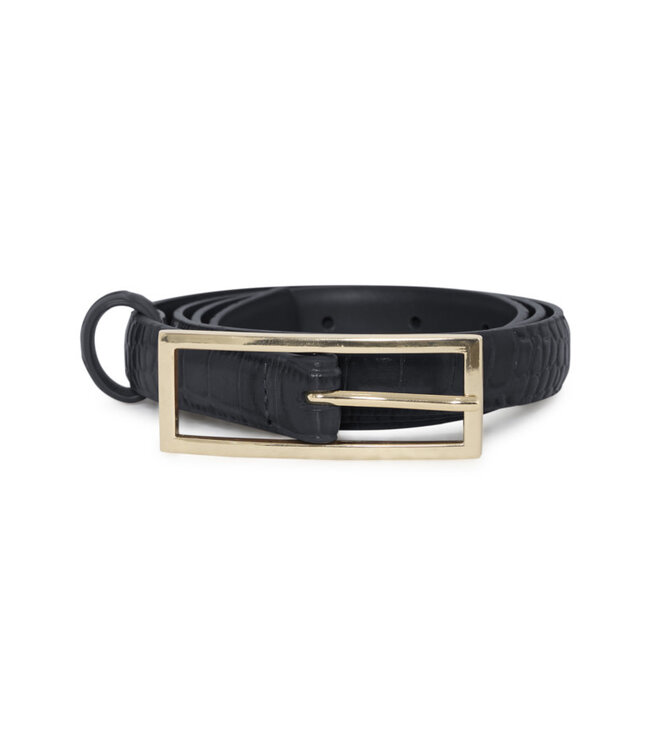 B. Young BYVhyl Belt - Meteorite