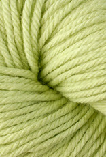 Berroco Vintage Chunky 6124 kiwi