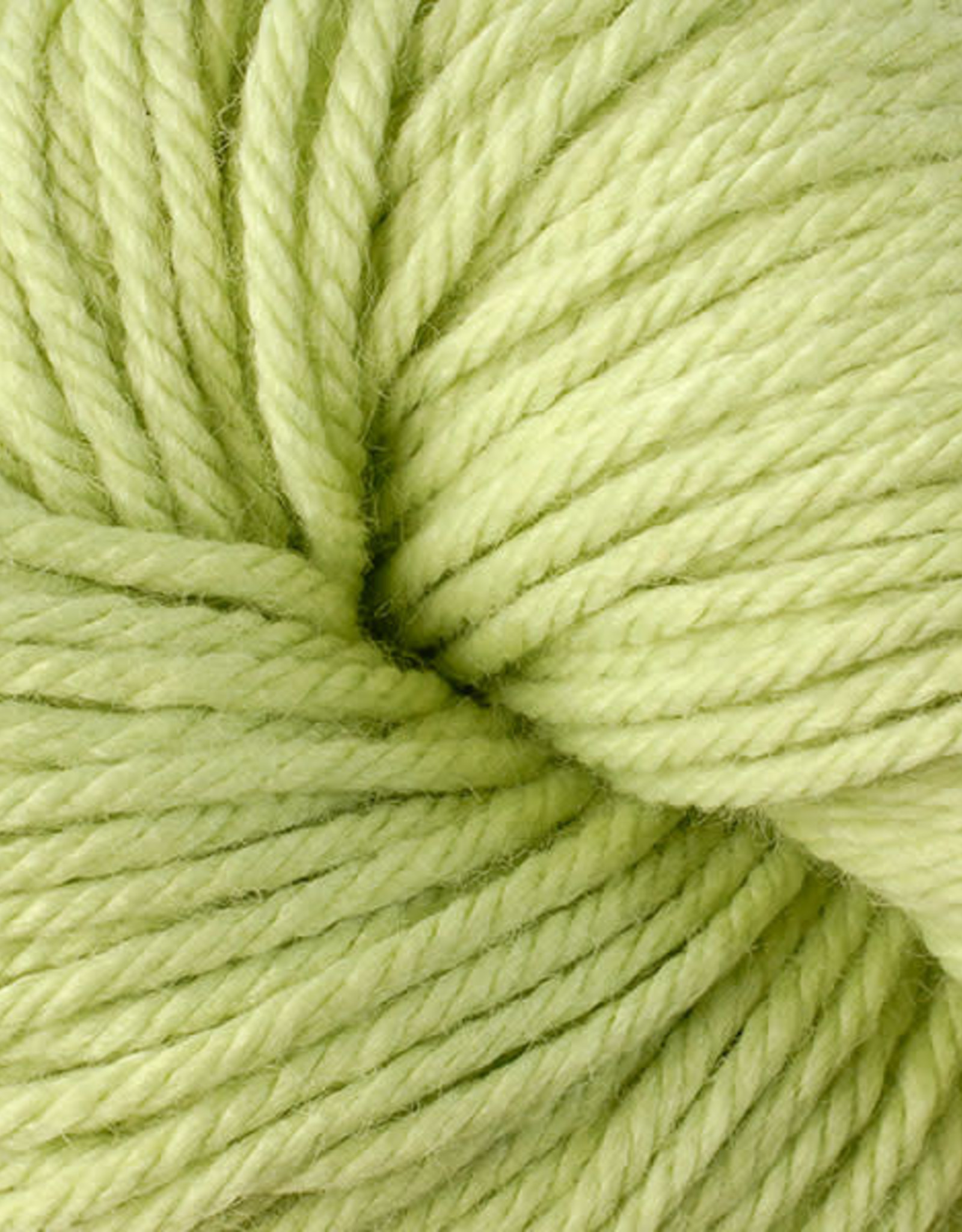 Berroco Vintage Chunky 6124 kiwi