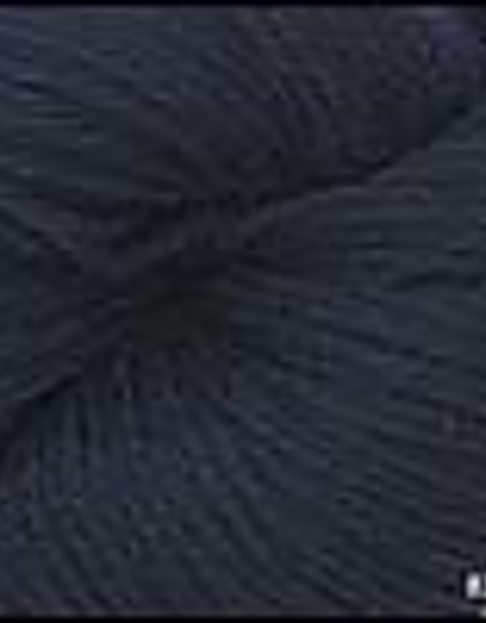 Cascade Cascade 220 8393 navy