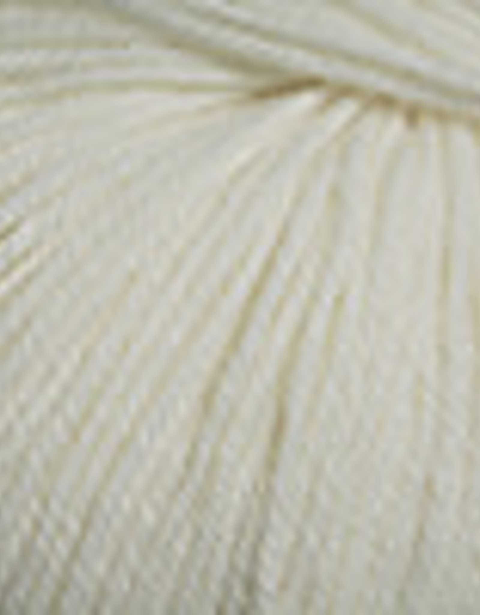 Cascade Cascade 220 Superwash 817 ecru