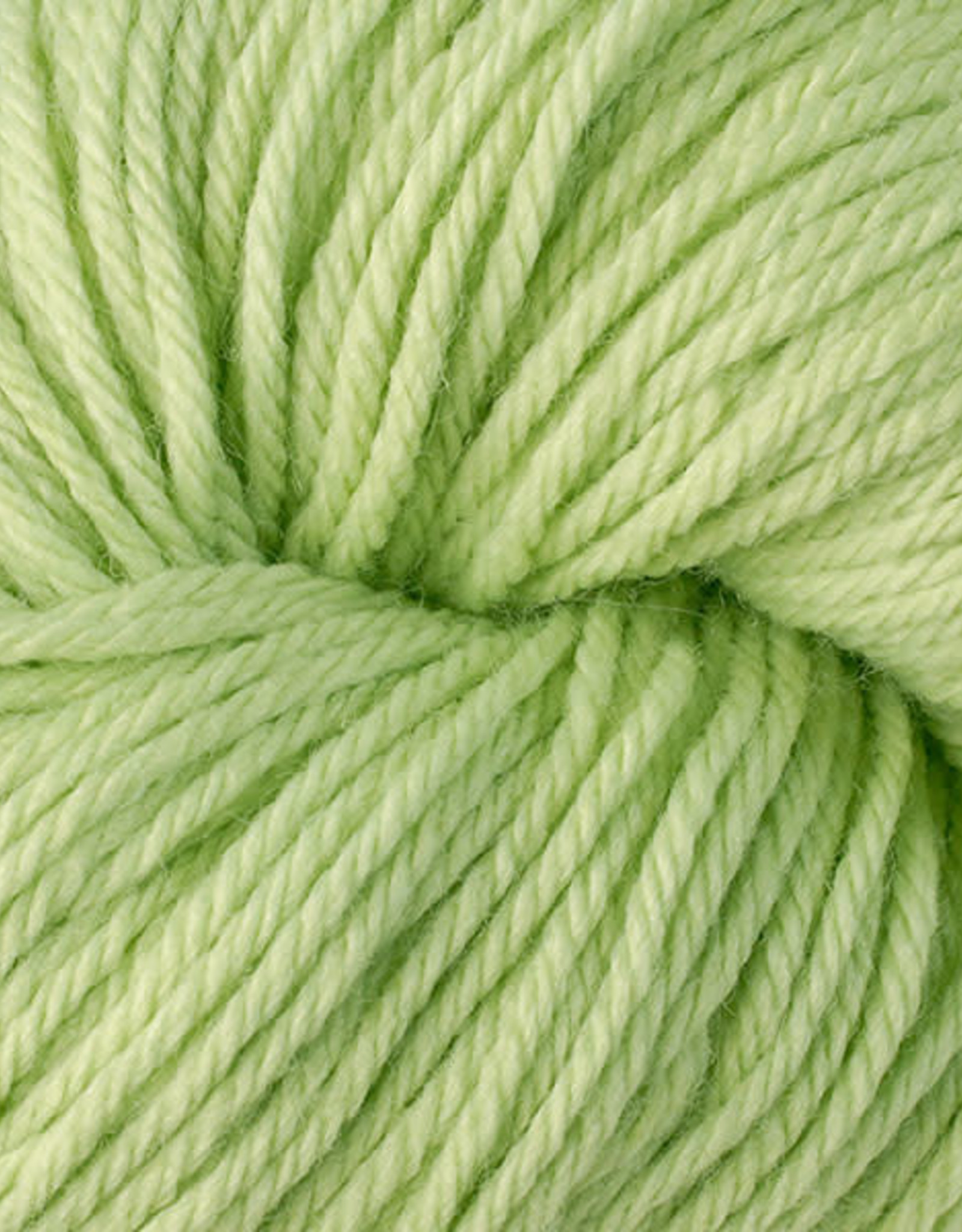 Berroco Vintage 5124 kiwi