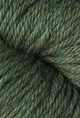 Berroco Vintage Chunky 61174 spruce