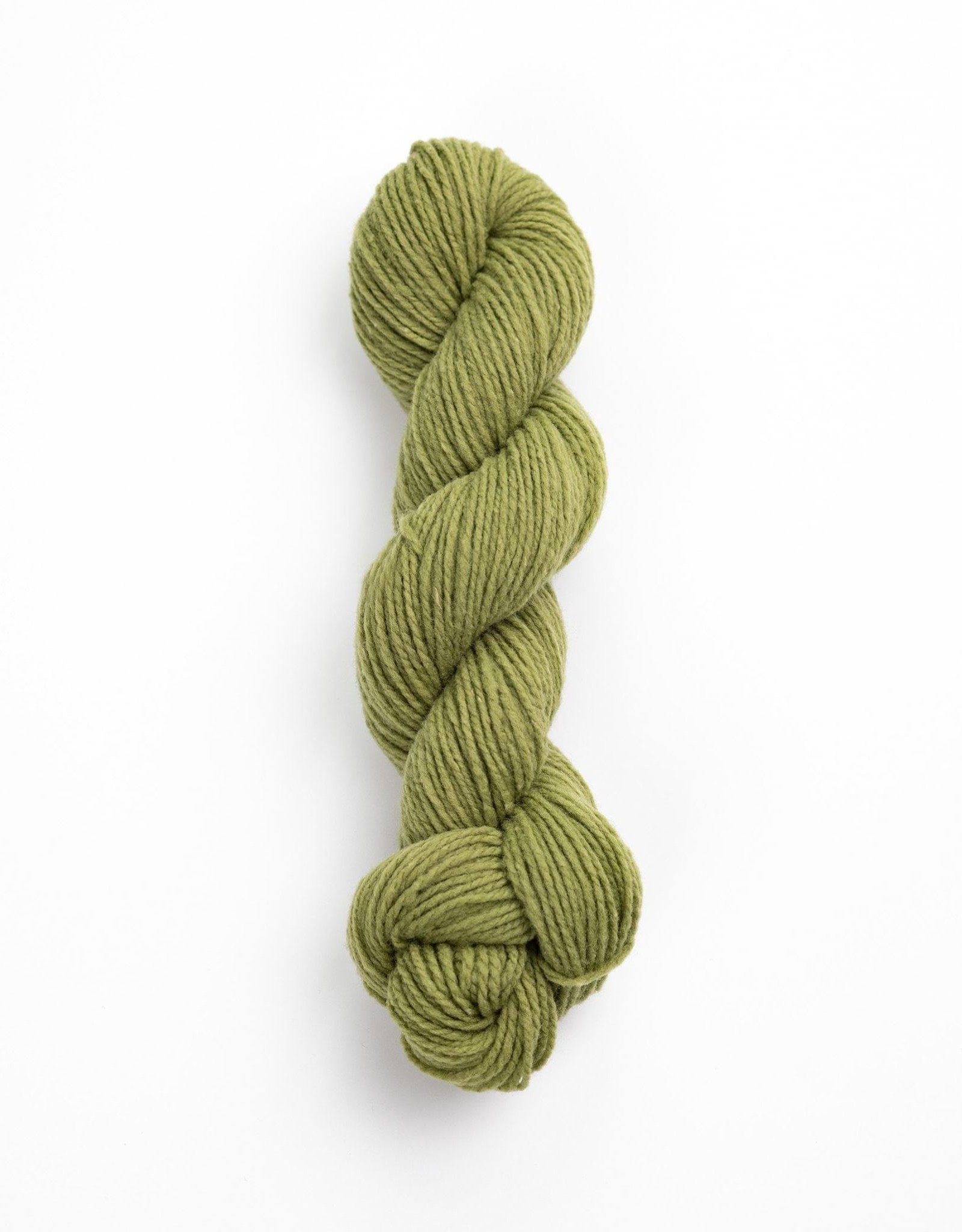 Brooklyn Tweed Shelter lemongrass DISCONTINUED