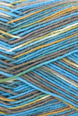 Regia Winter Hues 4 ply northern lights