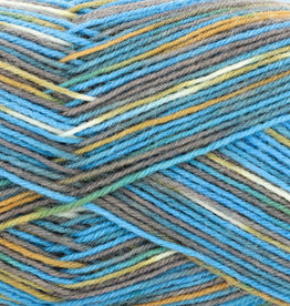 Regia Winter Hues 4 ply northern lights