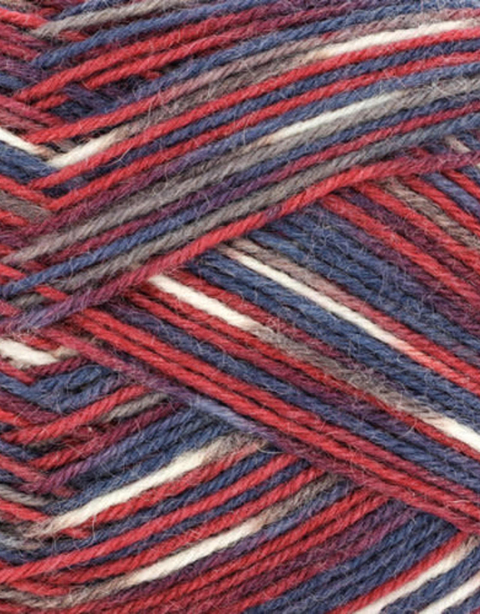 Regia Winter Hues 4 ply frosty roses