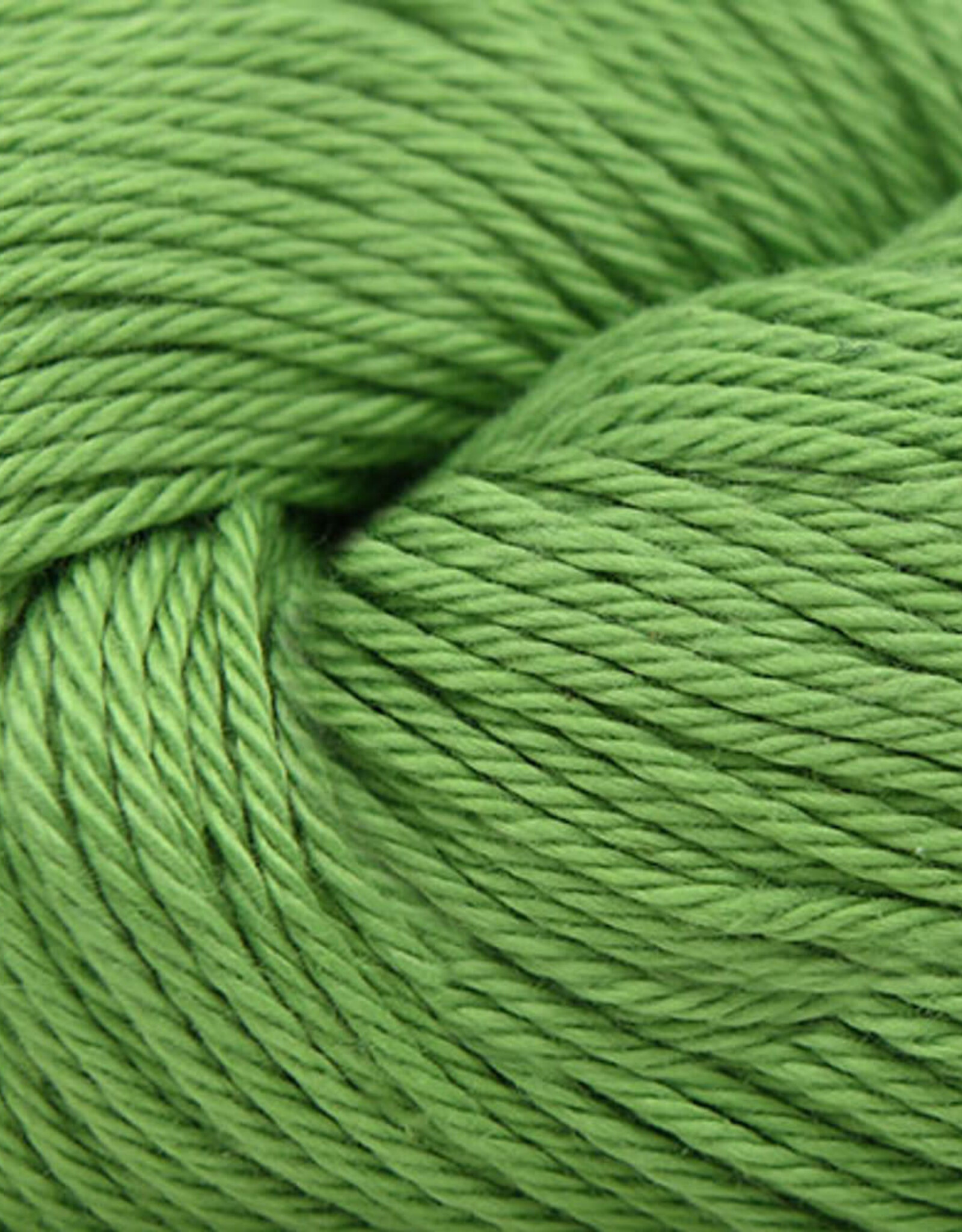 Cascade Ultra Pima 3865 kiwi