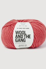 Wool & The Gang Lil Crazy Sexy Wool raspberry pink