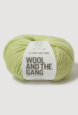 Wool & The Gang Lil Crazy Sexy Wool apple green SALE