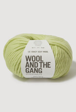 Wool & The Gang Lil Crazy Sexy Wool apple green