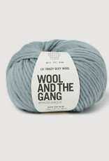 Wool & The Gang Lil Crazy Sexy Wool duck egg blue