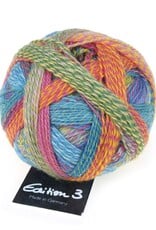 Schoppel-Wolle Edition 3.0 2296 english garden SALE