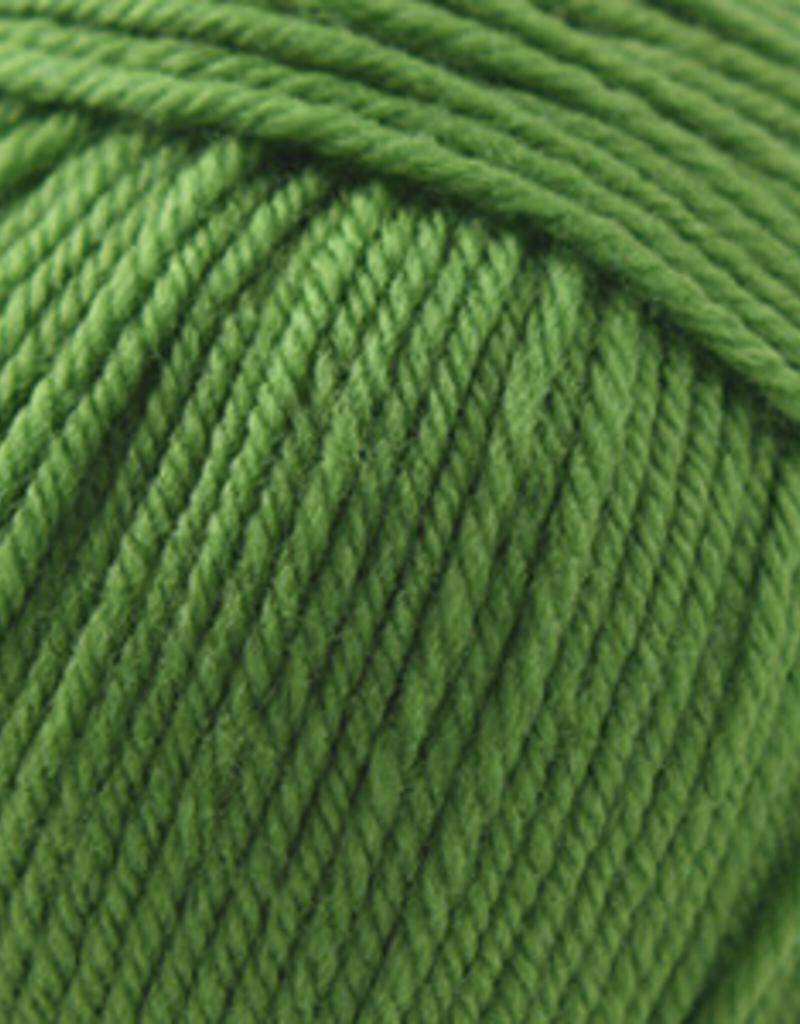 Cascade Cascade 220 Superwash 802 green apple