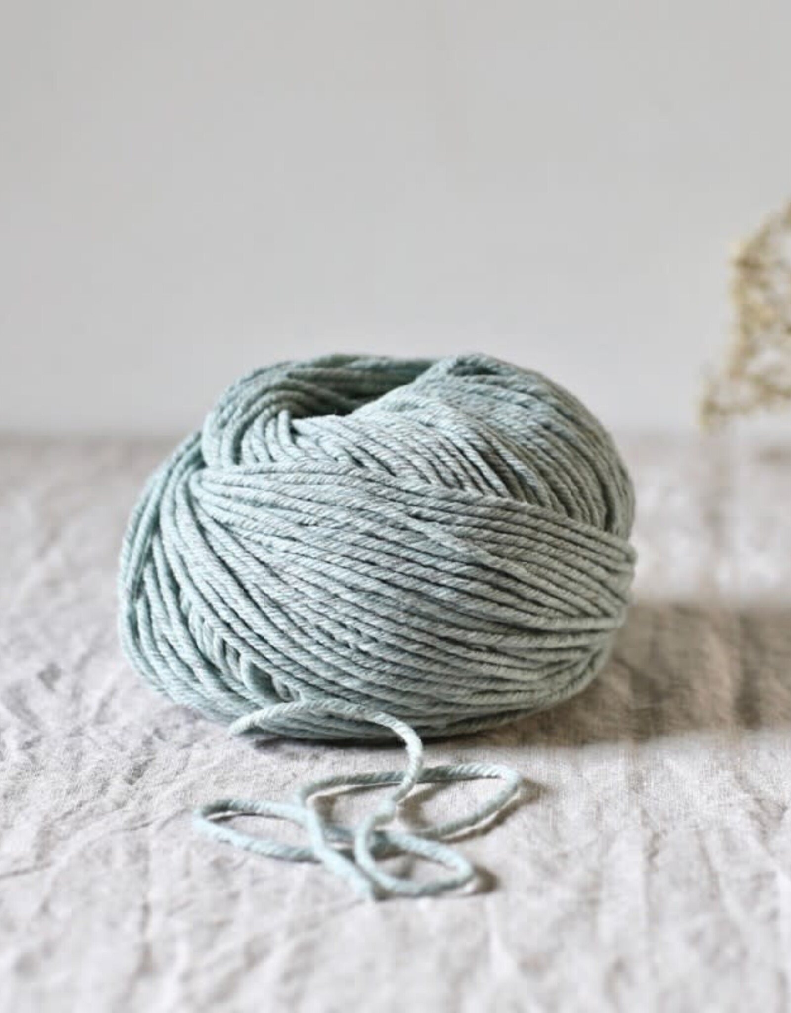 De Rerum Natura Cyrano sauge SALE