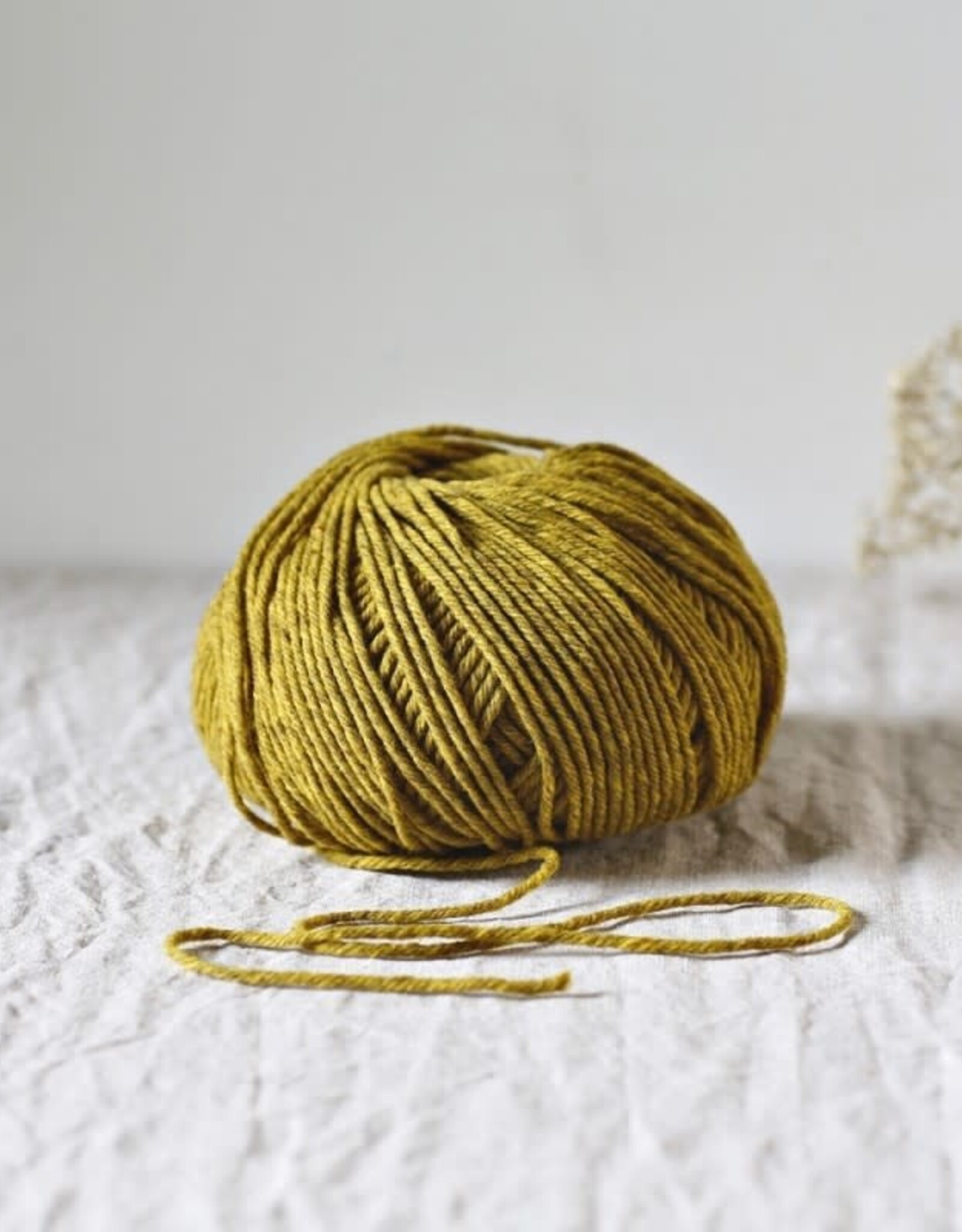 De Rerum Natura Cyrano genet