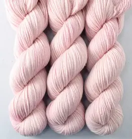 Miss Babs Intrepid sugar SALE