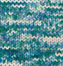 Cascade 220 SW Hand Paints 1006 lakeside