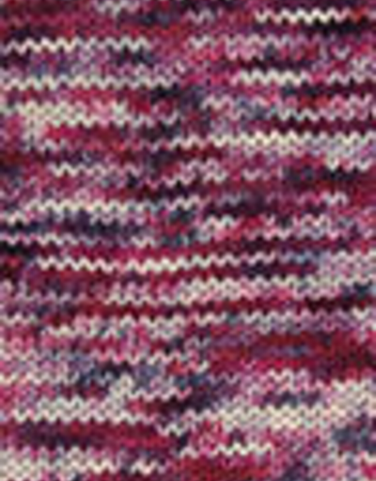 Cascade 220 SW Hand Paints 1011 berry smoke