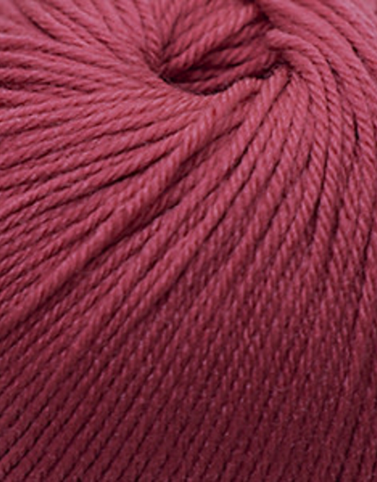 Cascade Cascade 220 Superwash 290 chrysanthemum