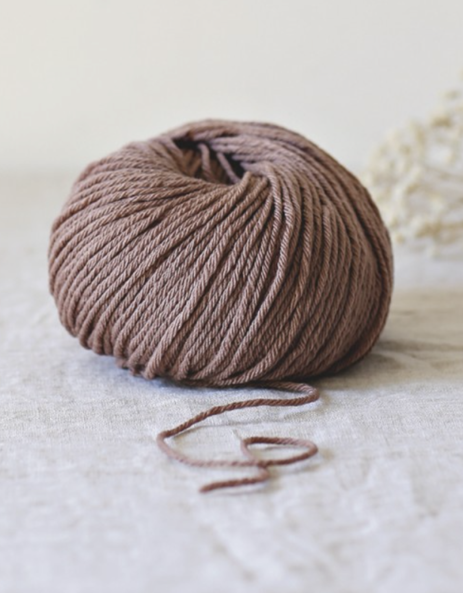 De Rerum Natura Penelope chocolate chaud