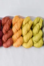 Miss Babs Gradient Set spice market
