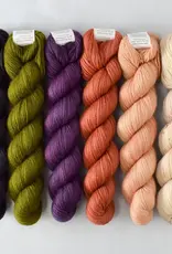Miss Babs Gnomes of Grimblewood deciduous forest set
