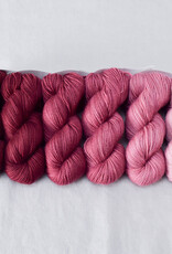 Miss Babs Gradient Set canis major
