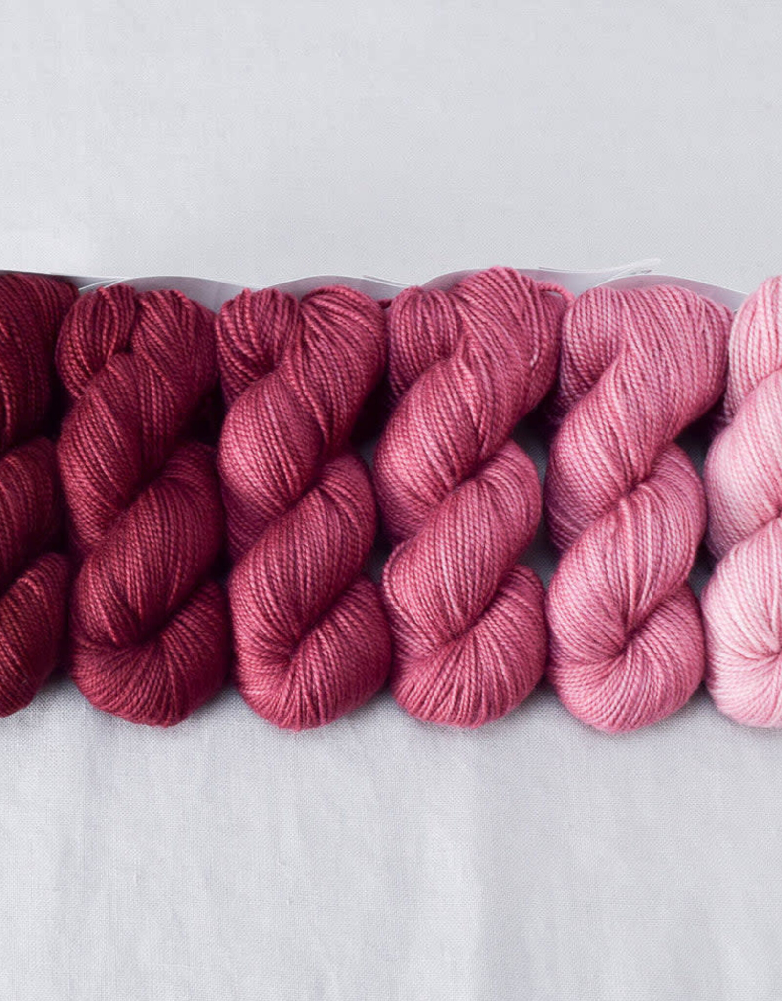 Miss Babs Gradient Set canis major