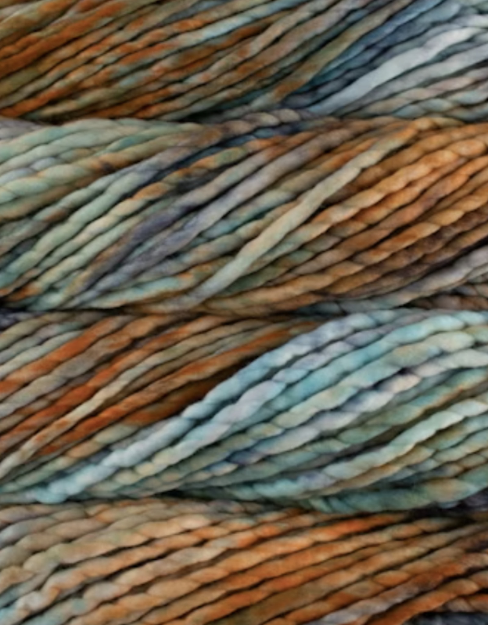 Malabrigo Rasta 274 amphibian