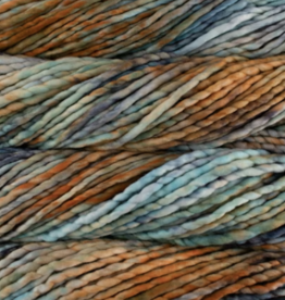 Malabrigo Rasta 274 amphibian