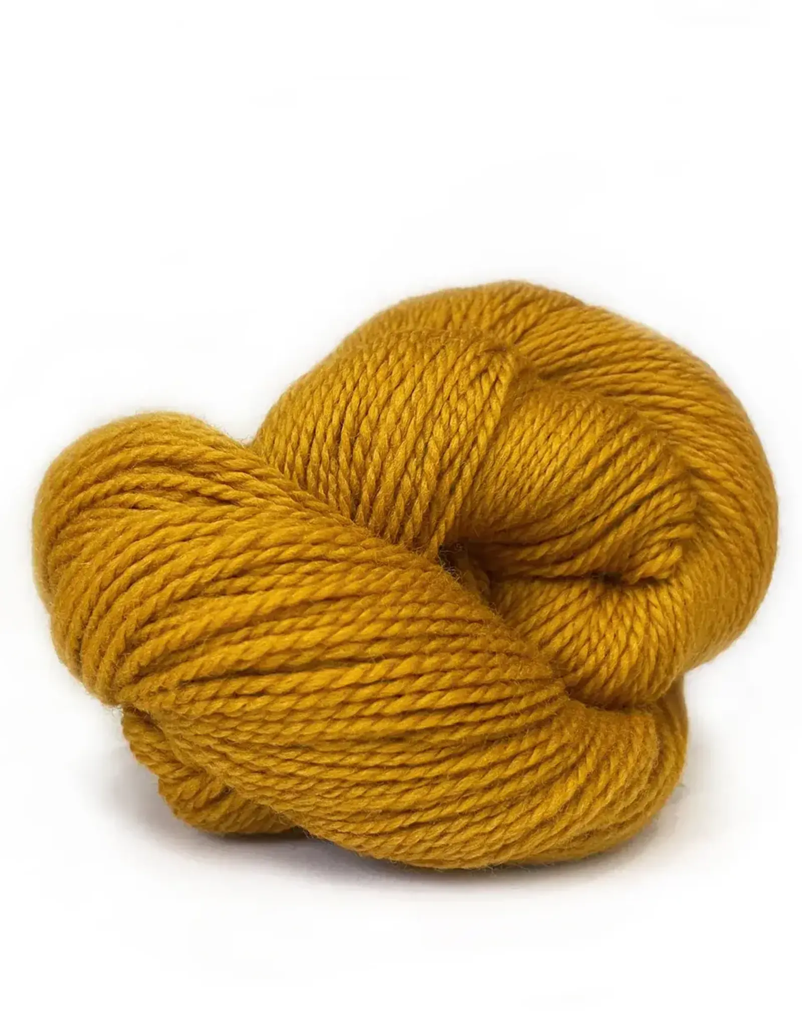 Kelbourne Scout 720 dandelion