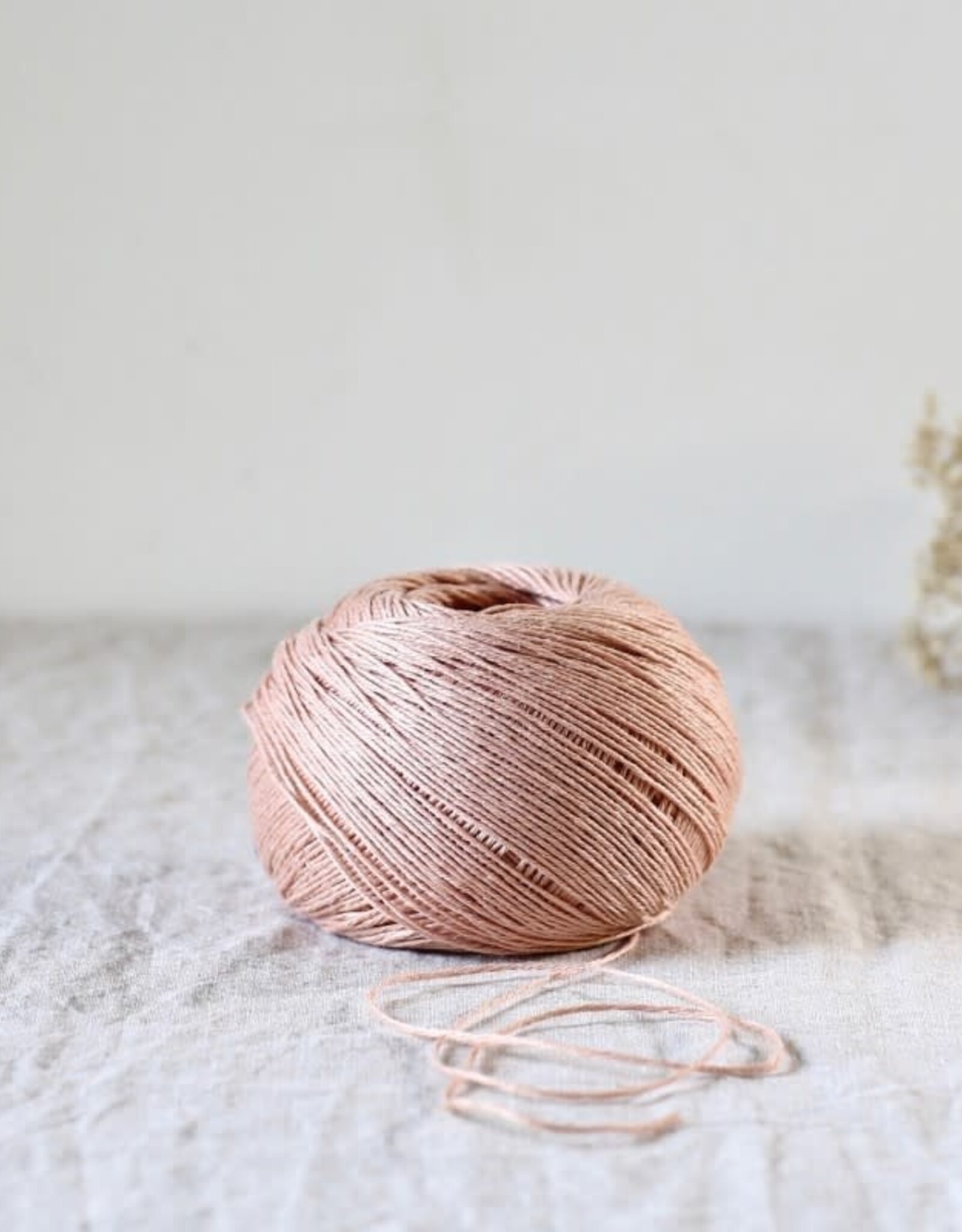 De Rerum Natura Antigone macaron