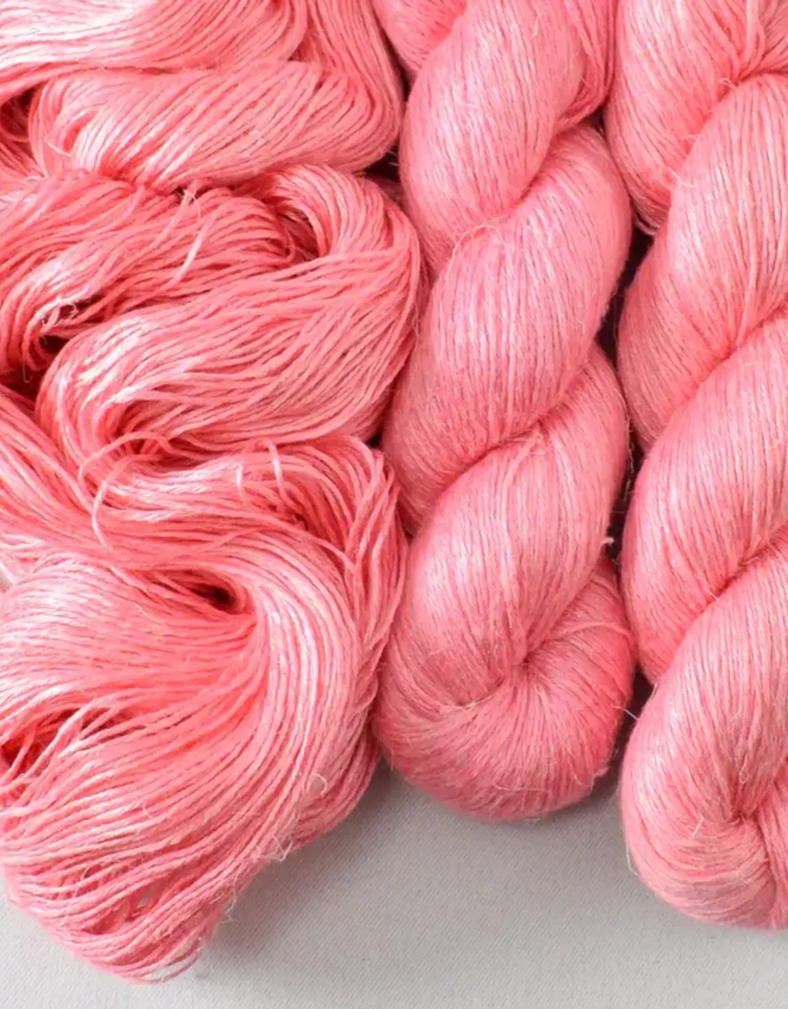 Miss Babs Damask dahlia