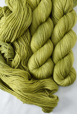 Miss Babs Killington fiddlehead