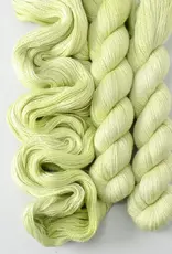 Miss Babs Yet spring lettuce