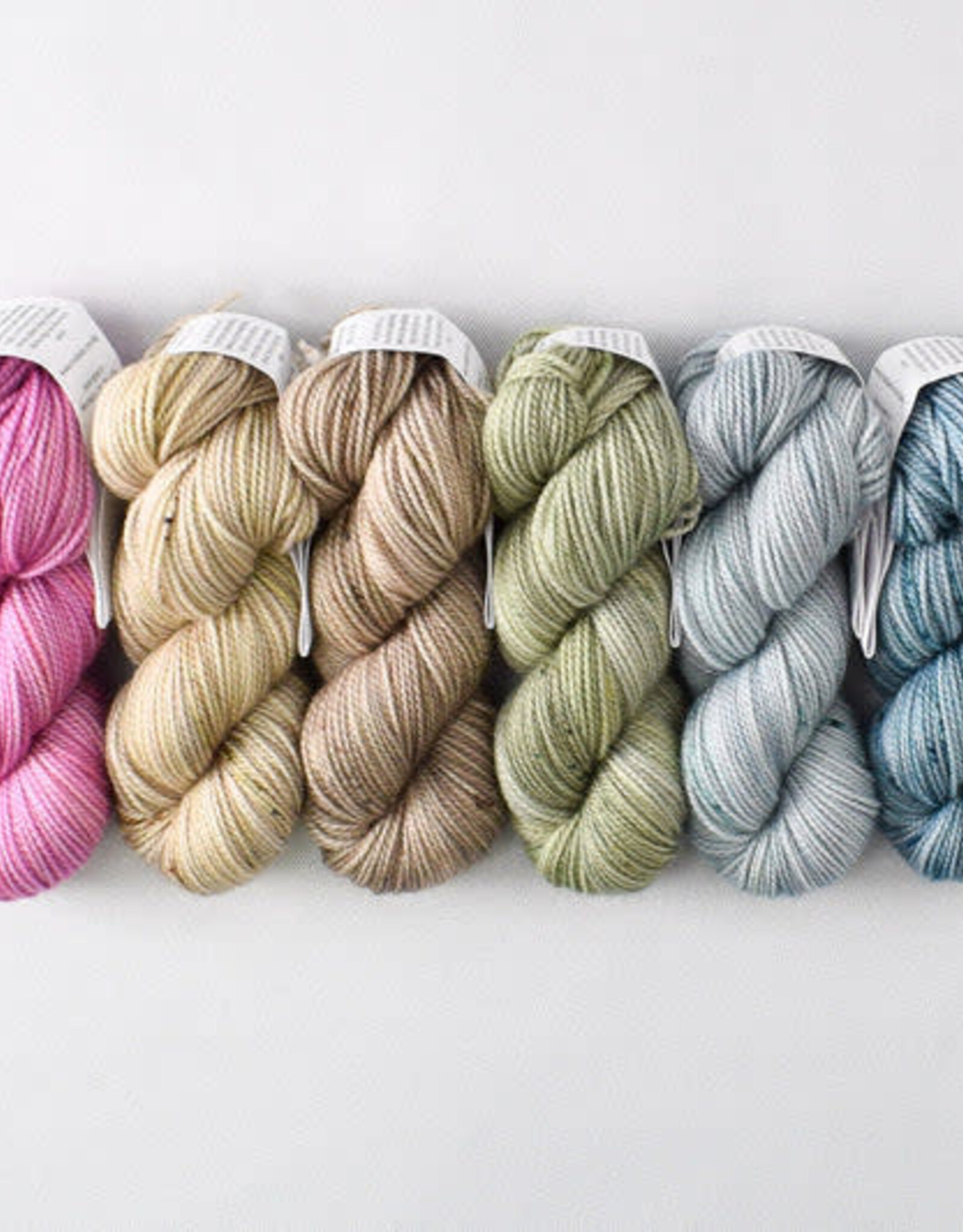 Miss Babs Gradient Set succulents