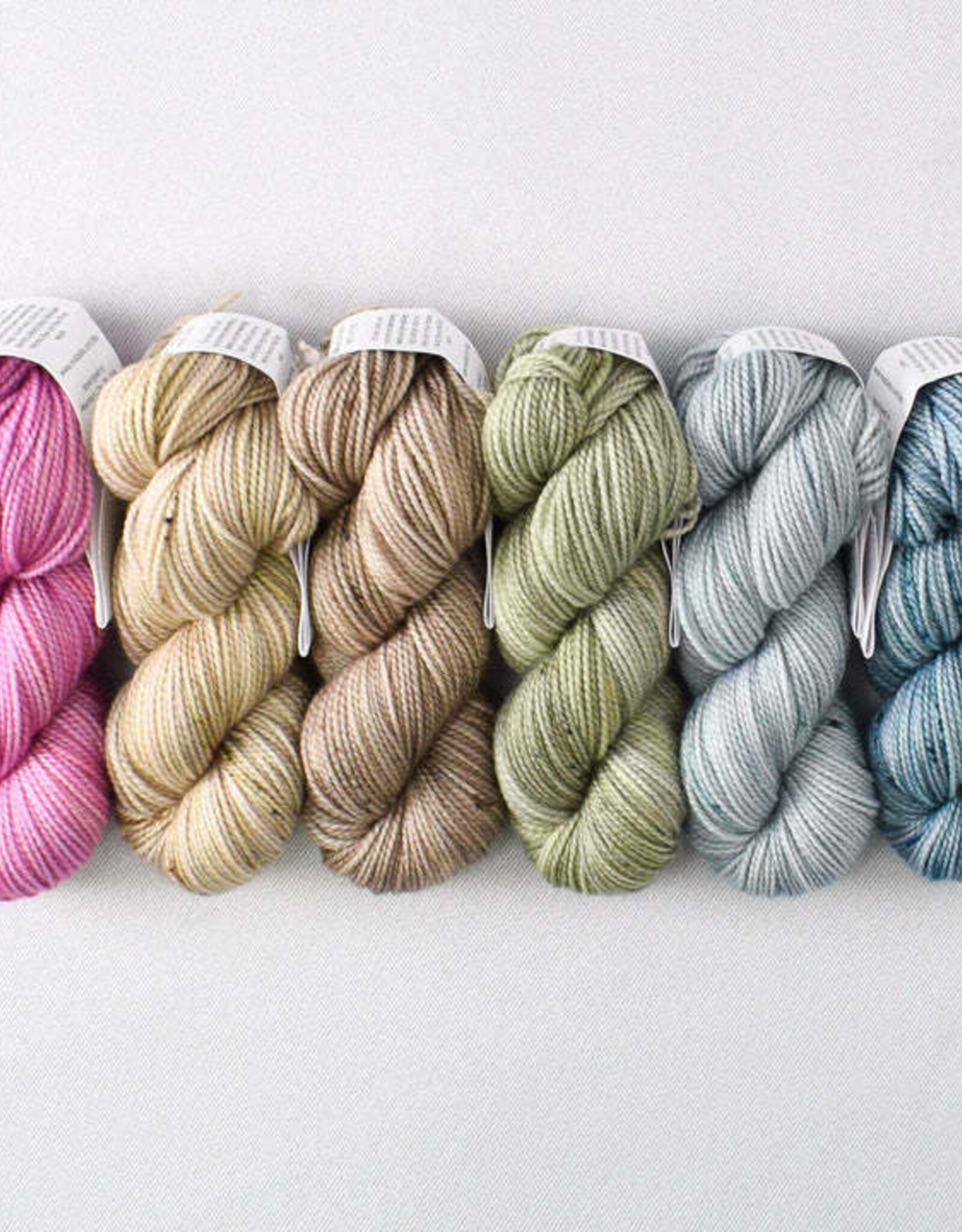 Miss Babs Gradient Set succulents